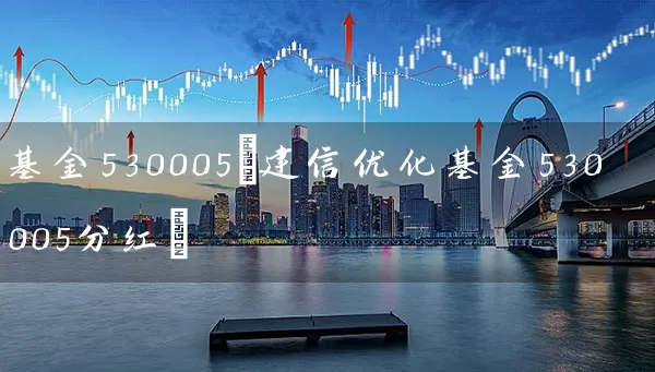 基金530005(建信优化基金530005分红) 基金基础教程 第1张-学习理财网 基金530005(建信优化基金530005分红) (https://www.cnq.net/) 基金基础教程 第1张