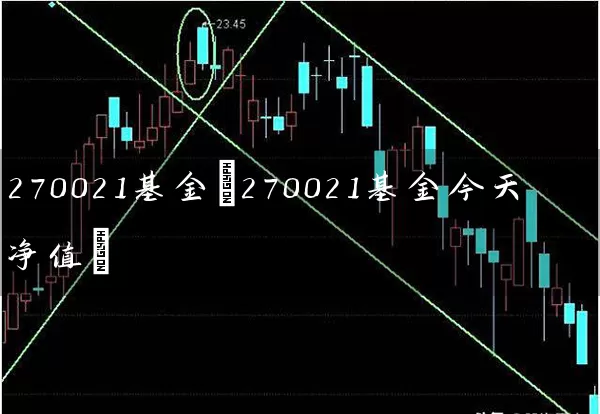 270021基金(270021基金今天净值) (https://www.cnq.net/) 基金基础教程 第1张