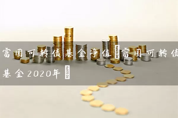富国可转债基金净值(富国可转债基金2020年) (https://www.cnq.net/) 基金基础教程 第1张