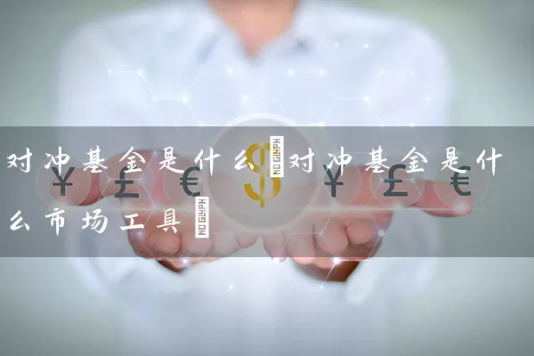 对冲基金是什么(对冲基金是什么市场工具) (https://www.cnq.net/) 基金基础教程 第1张