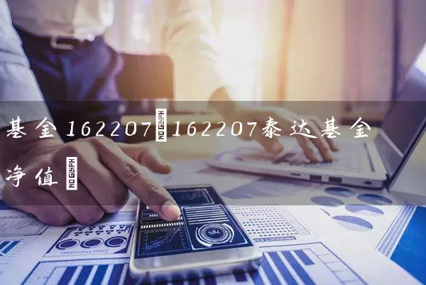 基金162207(162207泰达基金净值) (https://www.cnq.net/) 基金基础教程 第1张