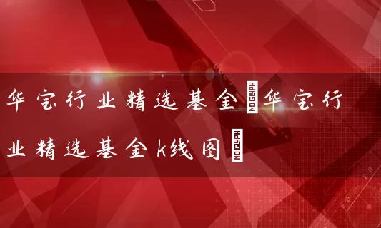 华宝行业精选基金(华宝行业精选基金k线图) (https://www.cnq.net/) 基金基础教程 第1张