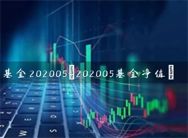 基金202005(202005基金净值) (https://www.cnq.net/) 基金基础教程 第1张