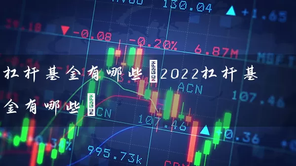 杠杆基金有哪些(2022杠杆基金有哪些) (https://www.cnq.net/) 基金基础教程 第1张