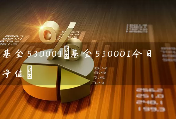 基金530001(基金530001今日净值) (https://www.cnq.net/) 基金基础教程 第1张