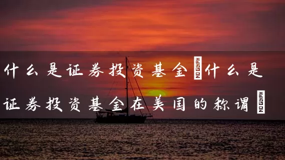 什么是证券投资基金(什么是证券投资基金在美国的称谓) (https://www.cnq.net/) 基金基础教程 第1张