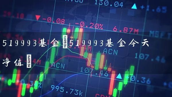 519993基金(519993基金今天净值) (https://www.cnq.net/) 基金基础教程 第1张