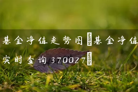 基金净值走势图(基金净值实时查询370027) (https://www.cnq.net/) 基金基础教程 第1张