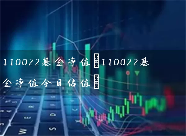110022基金净值(110022基金净值今日估值) 基金基础教程 第1张-学习理财网 110022基金净值(110022基金净值今日估值) (https://www.cnq.net/) 基金基础教程 第1张