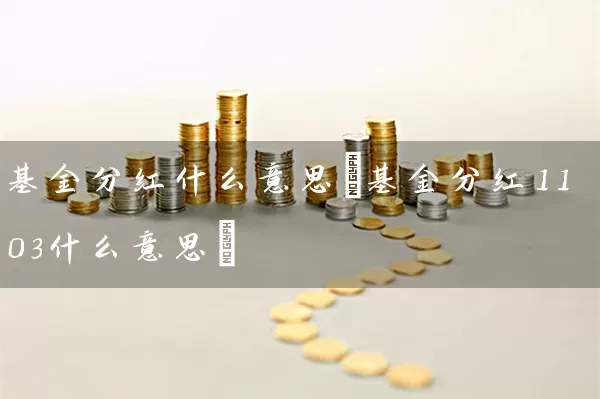 基金分红什么意思(基金分红1103什么意思) (https://www.cnq.net/) 基金基础教程 第1张