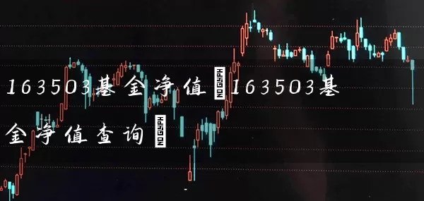 163503基金净值(163503基金净值查询) (https://www.cnq.net/) 基金基础教程 第1张