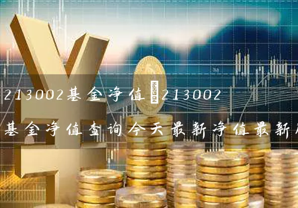 213002基金净值(213002基金净值查询今天最新净值最新股价) (https://www.cnq.net/) 基金基础教程 第1张