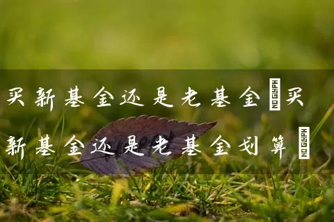 买新基金还是老基金(买新基金还是老基金划算) (https://www.cnq.net/) 基金基础教程 第1张