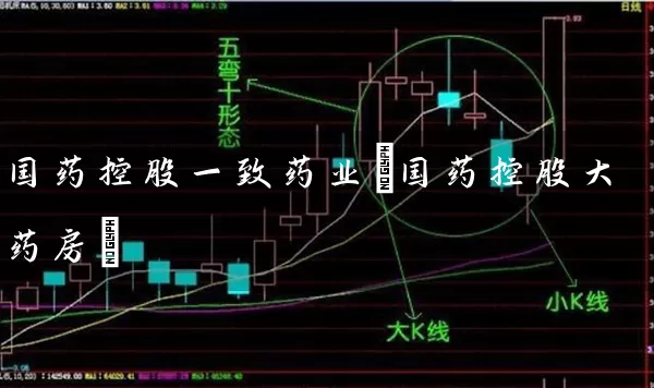 国药控股一致药业(国药控股大药房) (https://www.cnq.net/) 股票基础教程 第1张