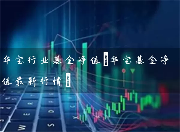 华宝行业基金净值(华宝基金净值最新行情) (https://www.cnq.net/) 基金基础教程 第1张