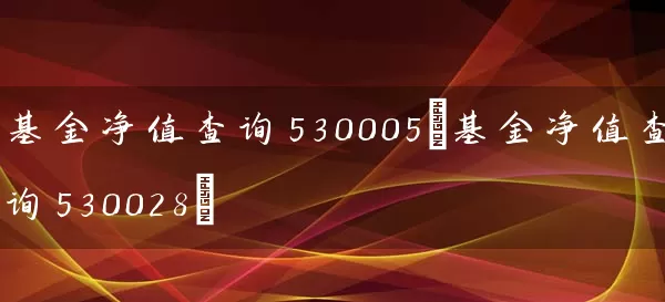 基金净值查询530005(基金净值查询530028) (https://www.cnq.net/) 基金基础教程 第1张