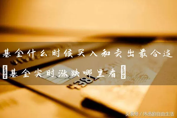 基金什么时候买入和卖出最合适(基金实时涨跌哪里看) (https://www.cnq.net/) 基金基础教程 第1张