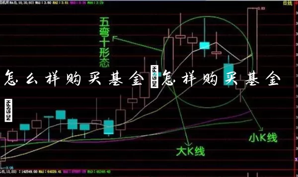 怎么样购买基金(怎样购买基金) (https://www.cnq.net/) 基金基础教程 第1张