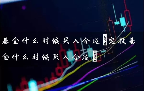 基金什么时候买入合适(定投基金什么时候买入合适) (https://www.cnq.net/) 基金基础教程 第1张