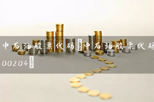 中石油股票代码(中石油股票代码00204) (https://www.cnq.net/) 股票基础教程 第1张