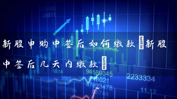 新股申购中签后如何缴款(新股中签后几天内缴款) 股票基础教程 第1张-学习理财网 新股申购中签后如何缴款(新股中签后几天内缴款) (https://www.cnq.net/) 股票基础教程 第1张