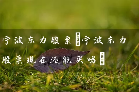 宁波东力股票(宁波东力股票现在还能买吗) (https://www.cnq.net/) 股票基础教程 第1张