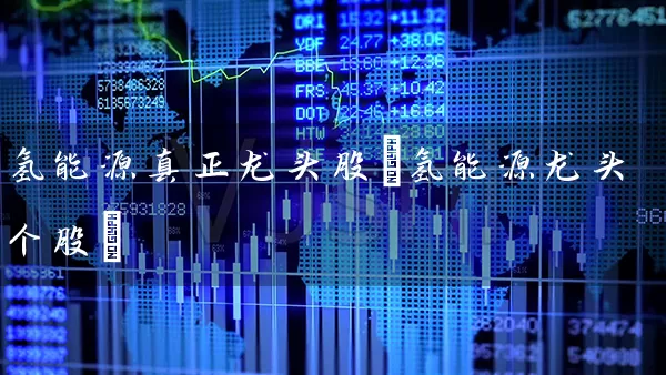 氢能源真正龙头股(氢能源龙头个股) (https://www.cnq.net/) 股票基础教程 第1张