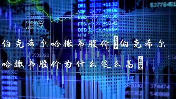 伯克希尔哈撒韦股价(伯克希尔哈撒韦股价为什么这么高) (https://www.cnq.net/) 股票基础教程 第1张