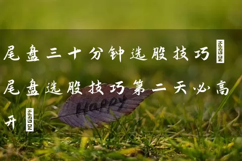 尾盘三十分钟选股技巧(尾盘选股技巧第二天必高开) (https://www.cnq.net/) 股票基础教程 第1张