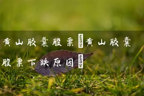 黄山胶囊股票(黄山胶囊股票下跌原因) (https://www.cnq.net/) 股票基础教程 第1张