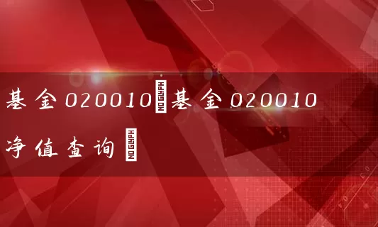 基金020010(基金020010净值查询) (https://www.cnq.net/) 基金基础教程 第1张