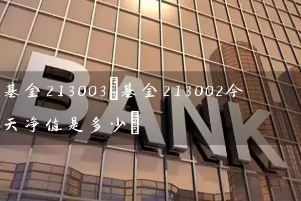 基金213003(基金213002今天净值是多少) (https://www.cnq.net/) 基金基础教程 第1张