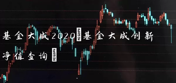 基金大成2020(基金大成创新净值查询) (https://www.cnq.net/) 基金基础教程 第1张