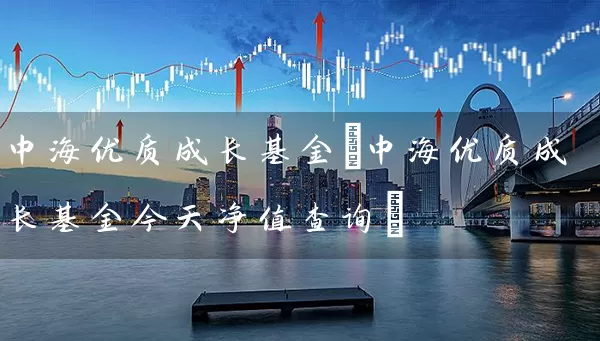 中海优质成长基金(中海优质成长基金今天净值查询) (https://www.cnq.net/) 基金基础教程 第1张