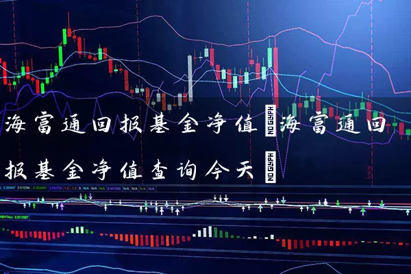 海富通回报基金净值(海富通回报基金净值查询今天) (https://www.cnq.net/) 基金基础教程 第1张