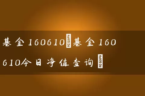 基金160610(基金160610今日净值查询) (https://www.cnq.net/) 基金基础教程 第1张