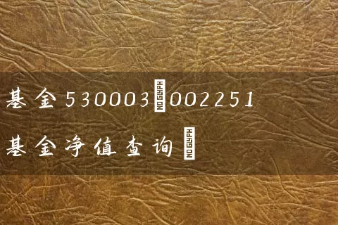 基金530003(002251基金净值查询) (https://www.cnq.net/) 基金基础教程 第1张