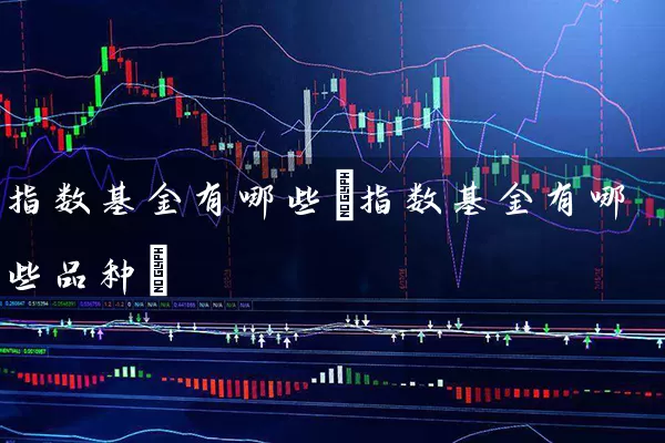 指数基金有哪些(指数基金有哪些品种) (https://www.cnq.net/) 基金基础教程 第1张