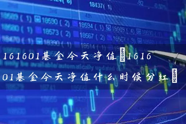 161601基金今天净值(161601基金今天净值什么时候分红) (https://www.cnq.net/) 基金基础教程 第1张