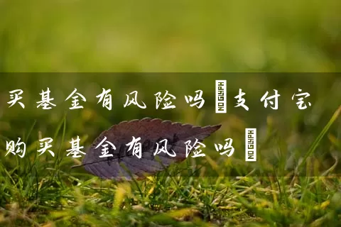 买基金有风险吗(支付宝购买基金有风险吗) (https://www.cnq.net/) 基金基础教程 第1张