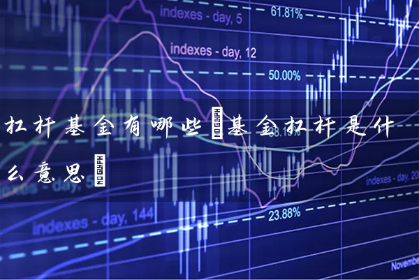 杠杆基金有哪些(基金杠杆是什么意思) (https://www.cnq.net/) 基金基础教程 第1张