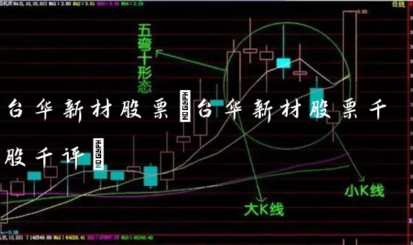 台华新材股票(台华新材股票千股千评) (https://www.cnq.net/) 股票基础教程 第1张