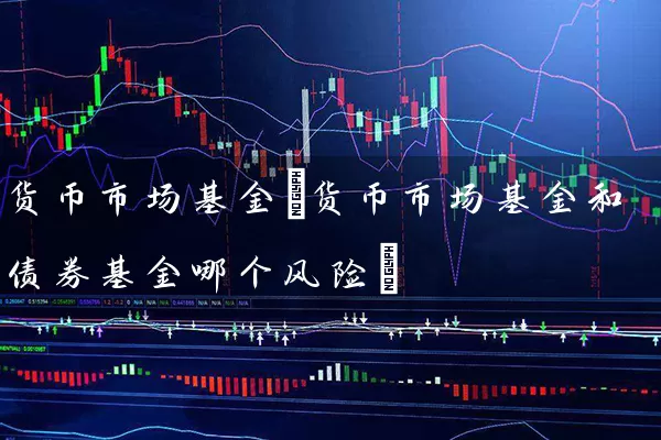 货币市场基金(货币市场基金和债券基金哪个风险) (https://www.cnq.net/) 基金基础教程 第1张