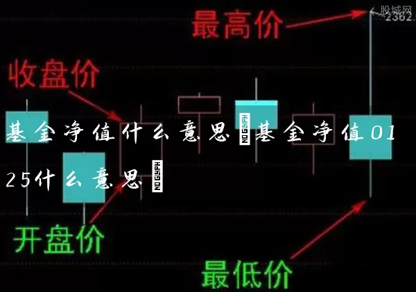 基金净值什么意思(基金净值0125什么意思) (https://www.cnq.net/) 基金基础教程 第1张