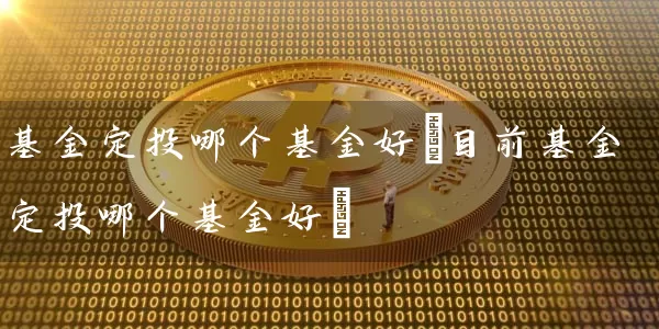 基金定投哪个基金好(目前基金定投哪个基金好) (https://www.cnq.net/) 基金基础教程 第1张