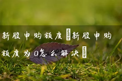 新股申购额度(新股申购额度为0怎么解决) (https://www.cnq.net/) 股票基础教程 第1张