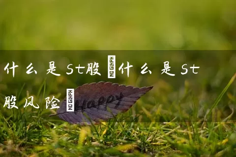 什么是st股(什么是st股风险) 股票基础教程 第1张-学习理财网 什么是st股(什么是st股风险) (https://www.cnq.net/) 股票基础教程 第1张