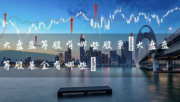 大盘蓝筹股有哪些股票(大盘蓝筹股基金有哪些) (https://www.cnq.net/) 股票基础教程 第1张