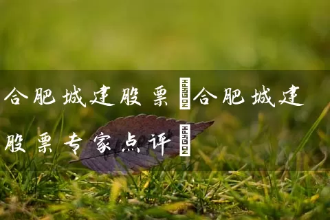 合肥城建股票(合肥城建股票专家点评) (https://www.cnq.net/) 股票基础教程 第1张