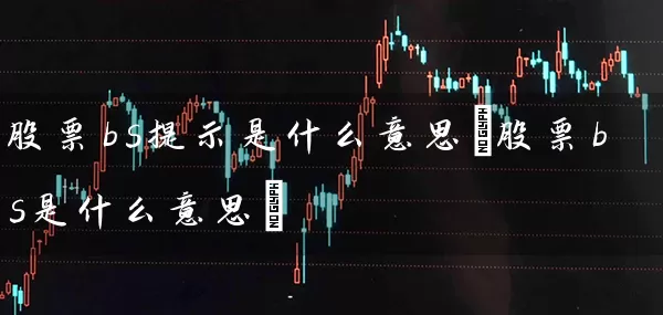 股票bs提示是什么意思(股票bs是什么意思) (https://www.cnq.net/) 股票基础教程 第1张